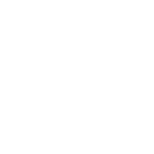 Renbjer